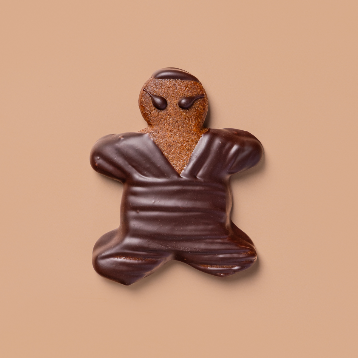 Ginger Ninja Cookie Box