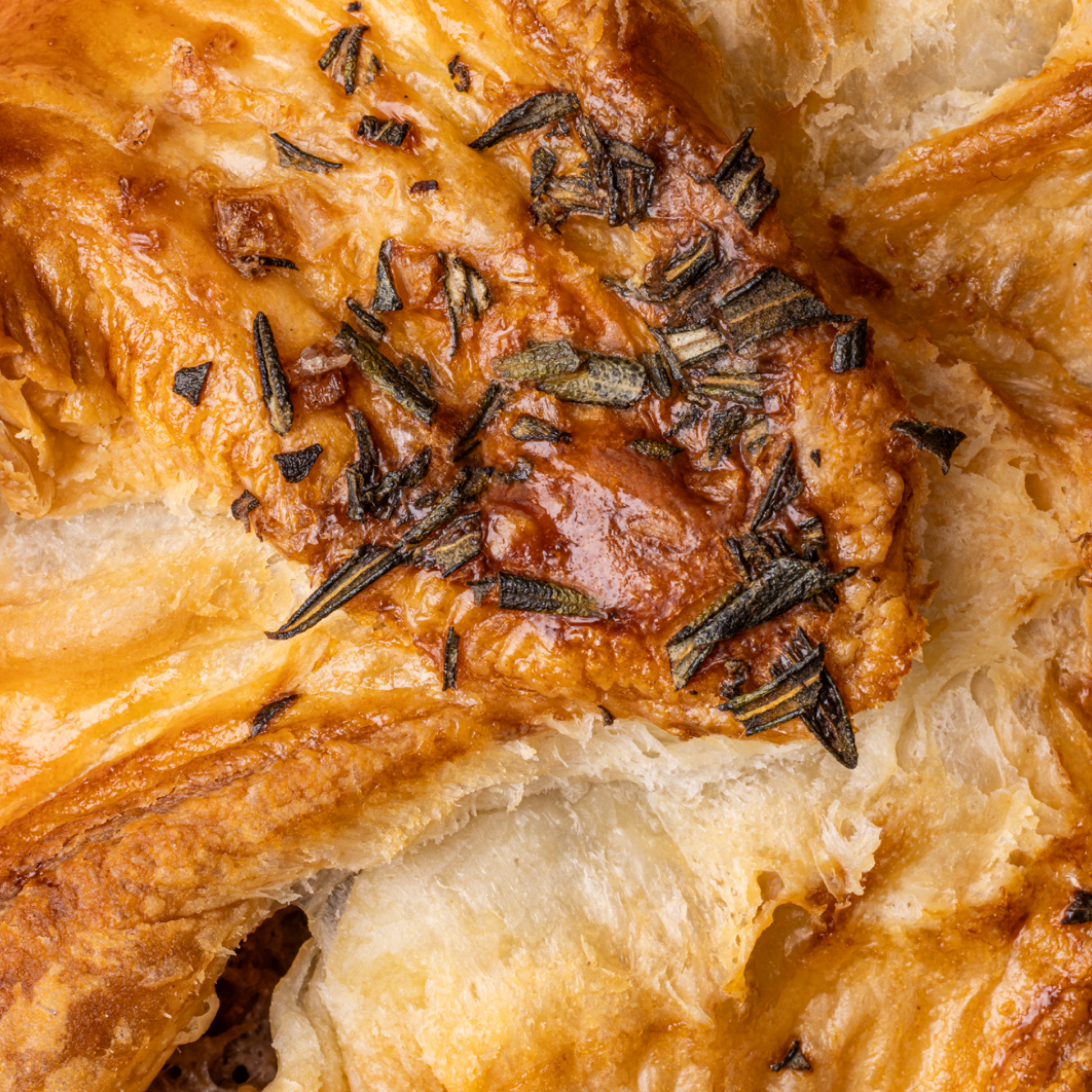 Lamb Shoulder Pie-5