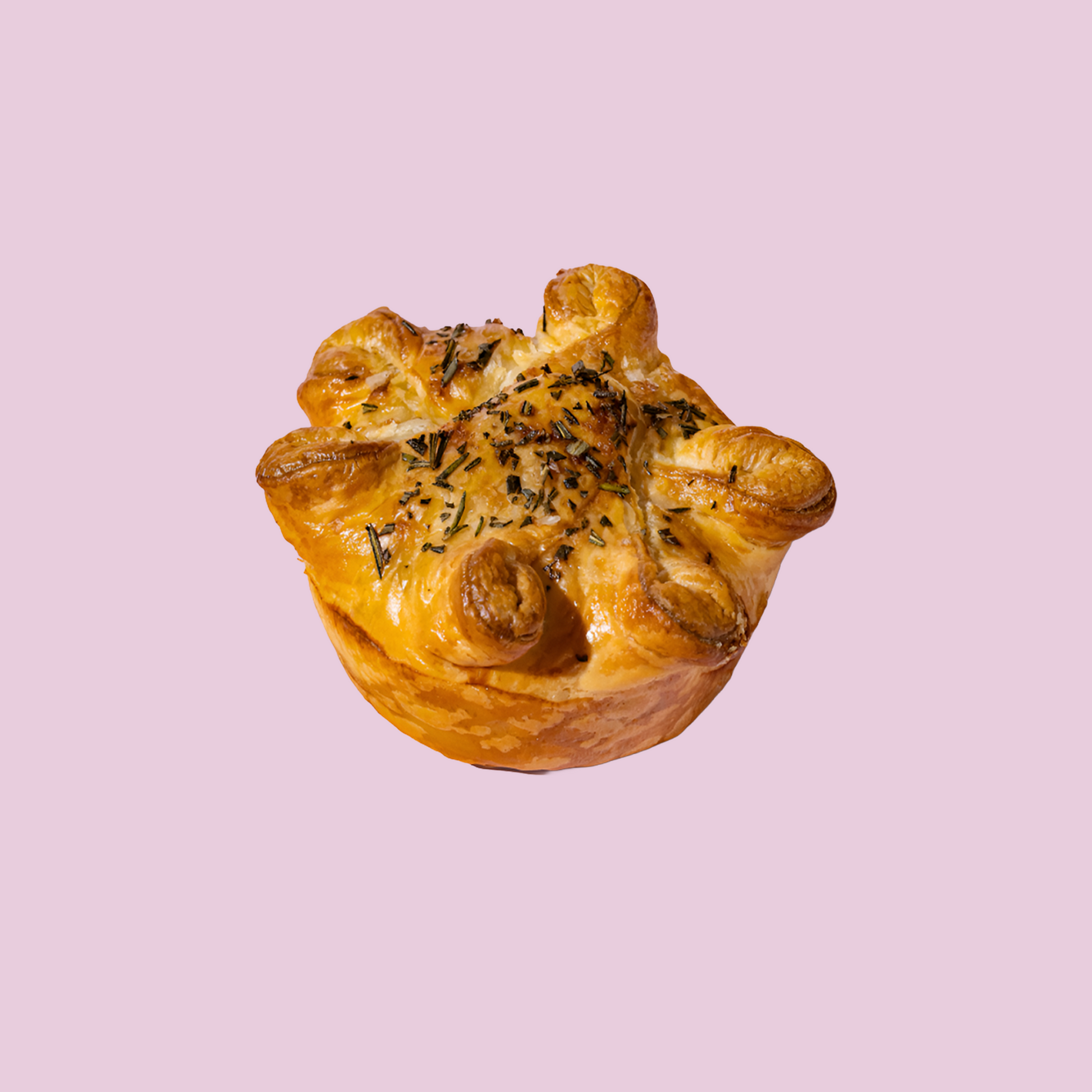 Lamb Shoulder Pie-1