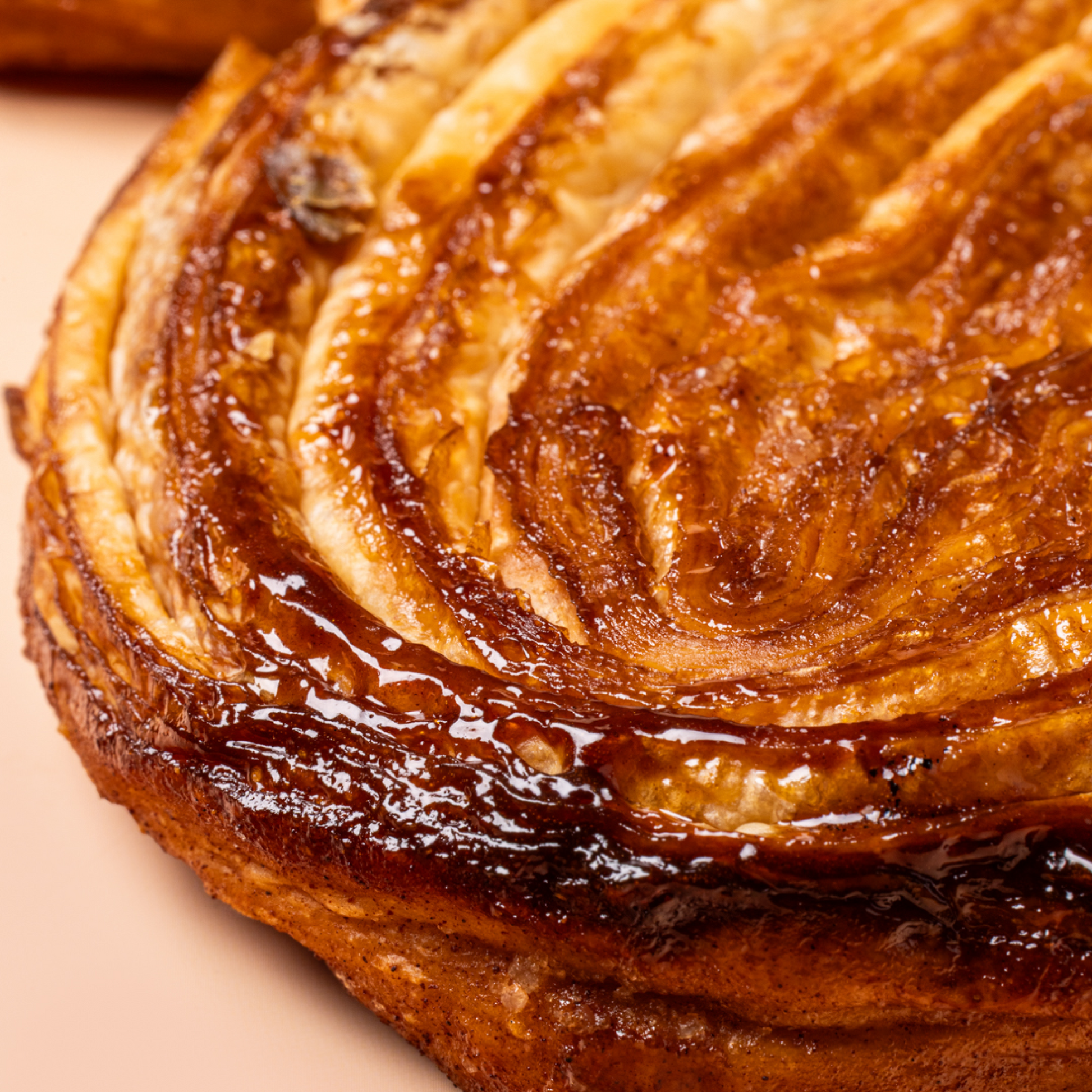Palmier-2