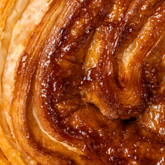 Palmier-5