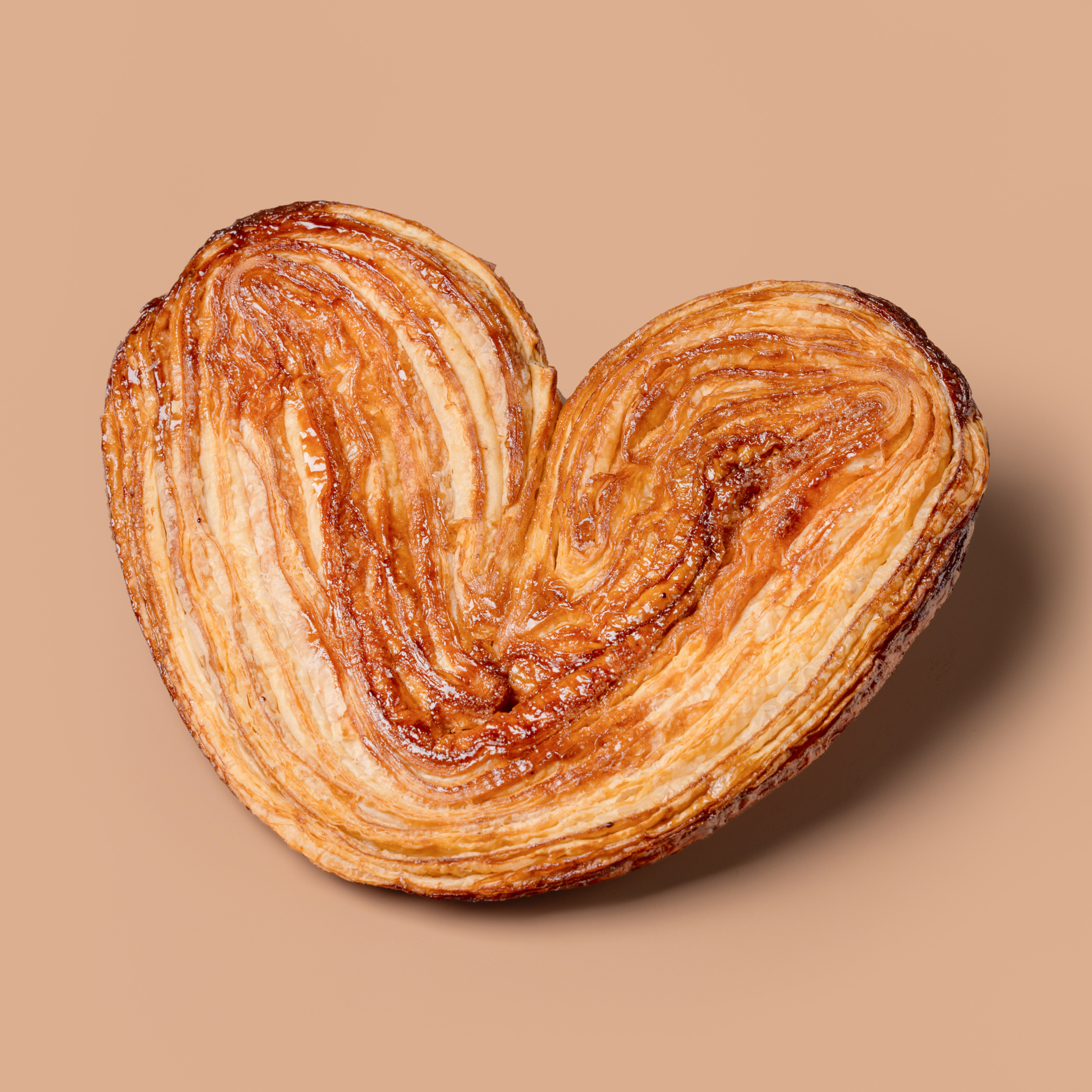 Palmier