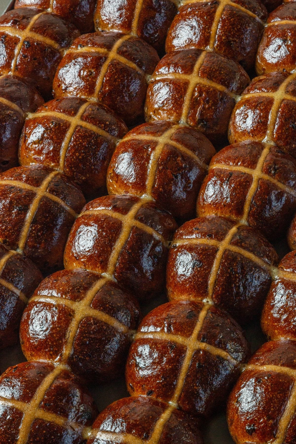 Black Star Pastry Hot Cross Buns are Back!