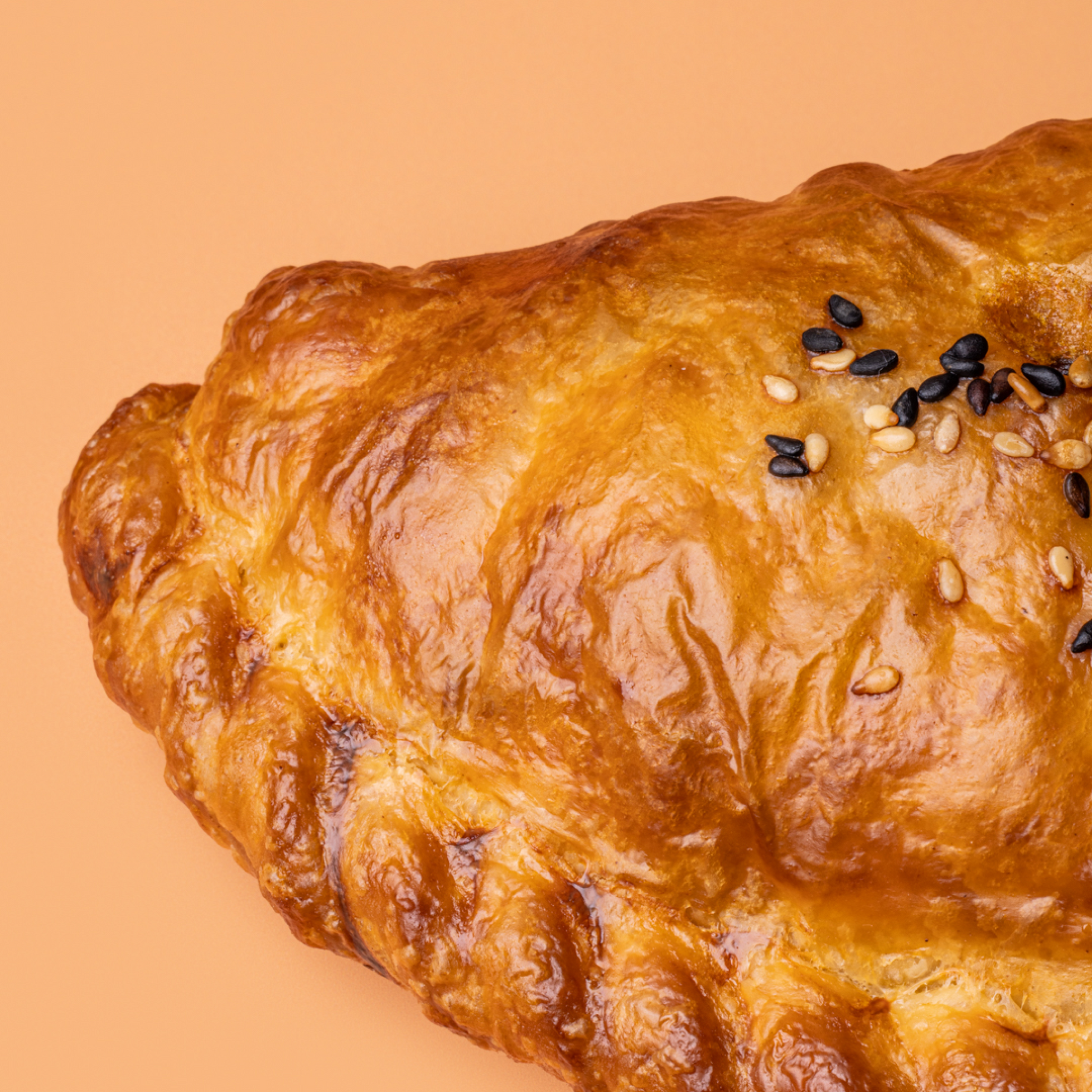 Vegetable Curry Pasty-2