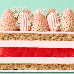White Strawberry Watermelon Cake-2